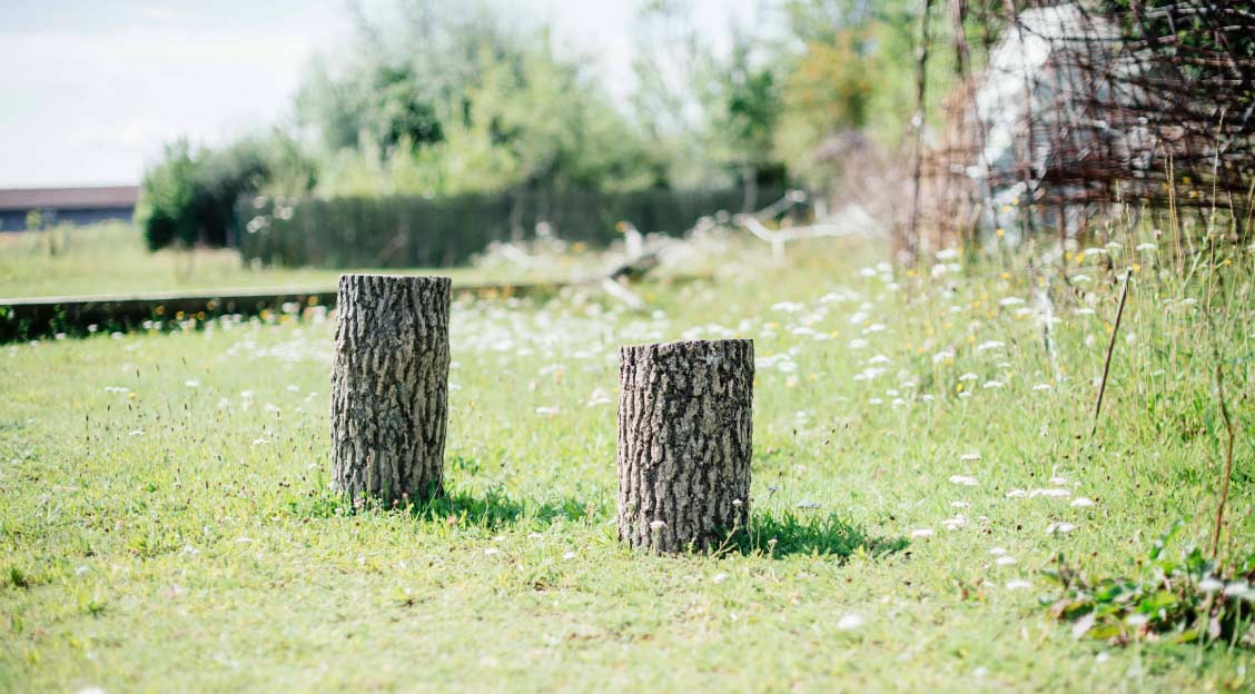 nachmitt ogts impressionen 04