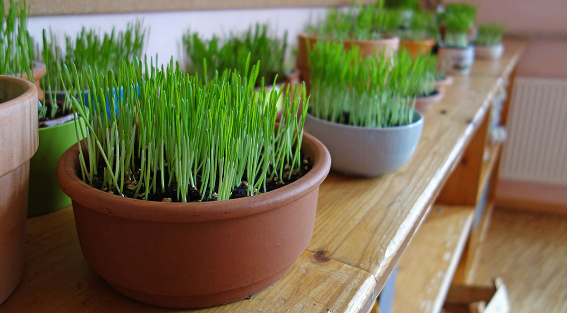 nachmitt ogts impressionen 30