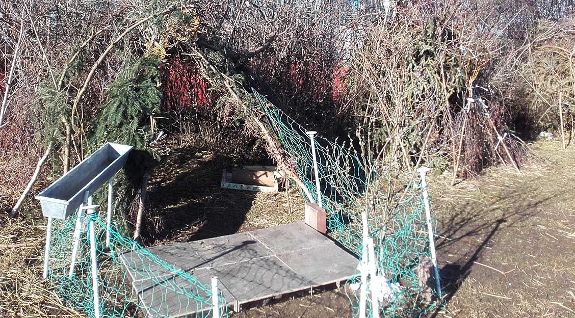 nachmitt ogts impressionen 32