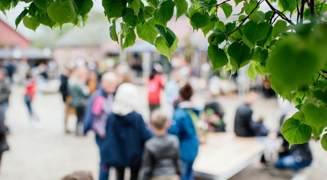 schulleben sommermarkt impressionen 17