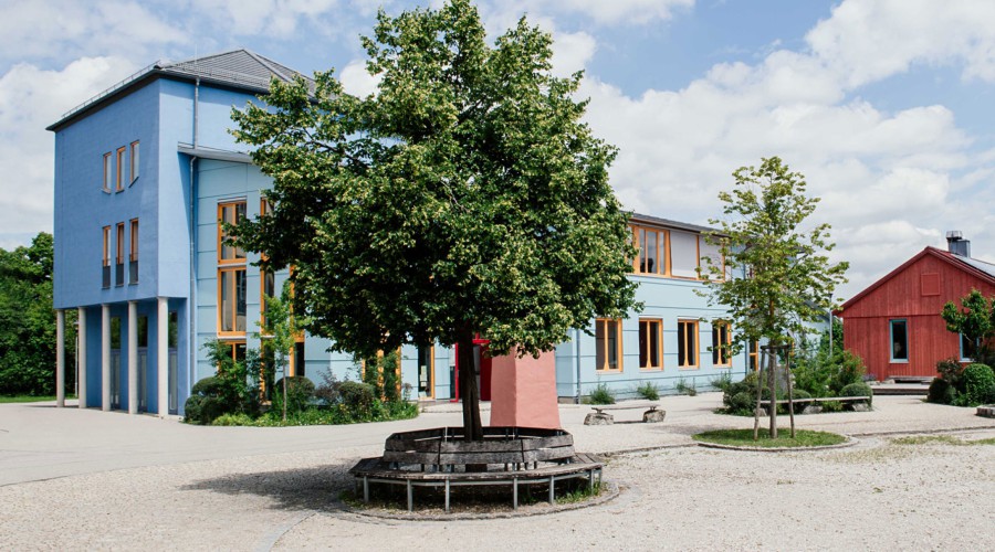 wll news infotage 2025