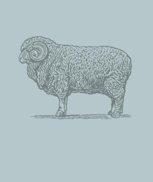 unsere schule kreise filzkreis