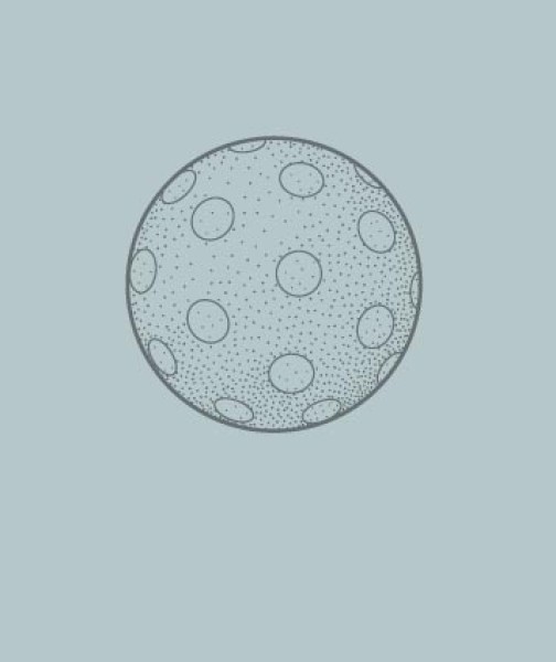 unsere schule kreise kigarat