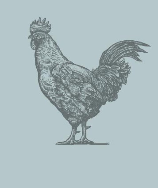 unsere schule kreise sprachkreis